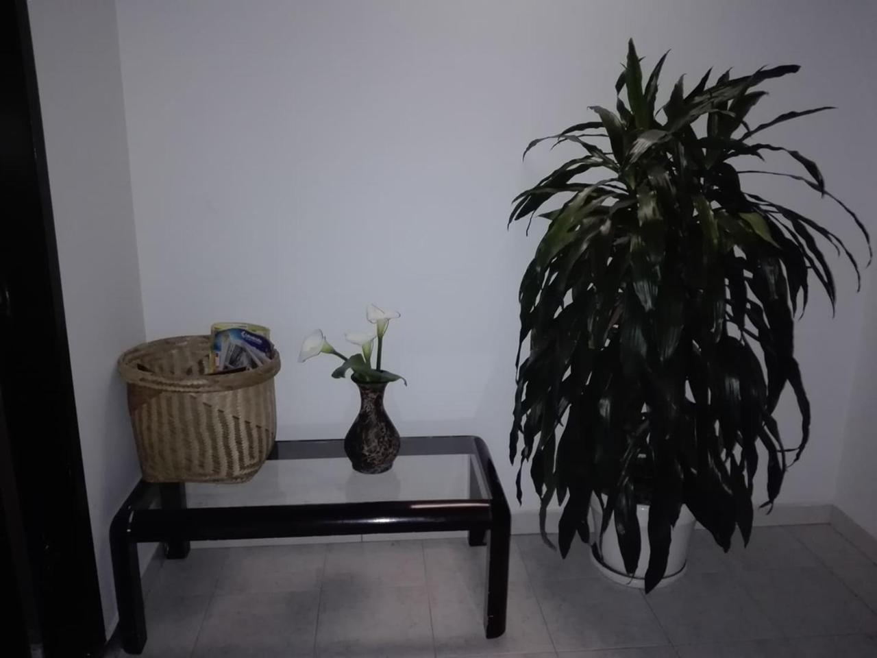 Hotel Hortensia Real Paipa Dış mekan fotoğraf